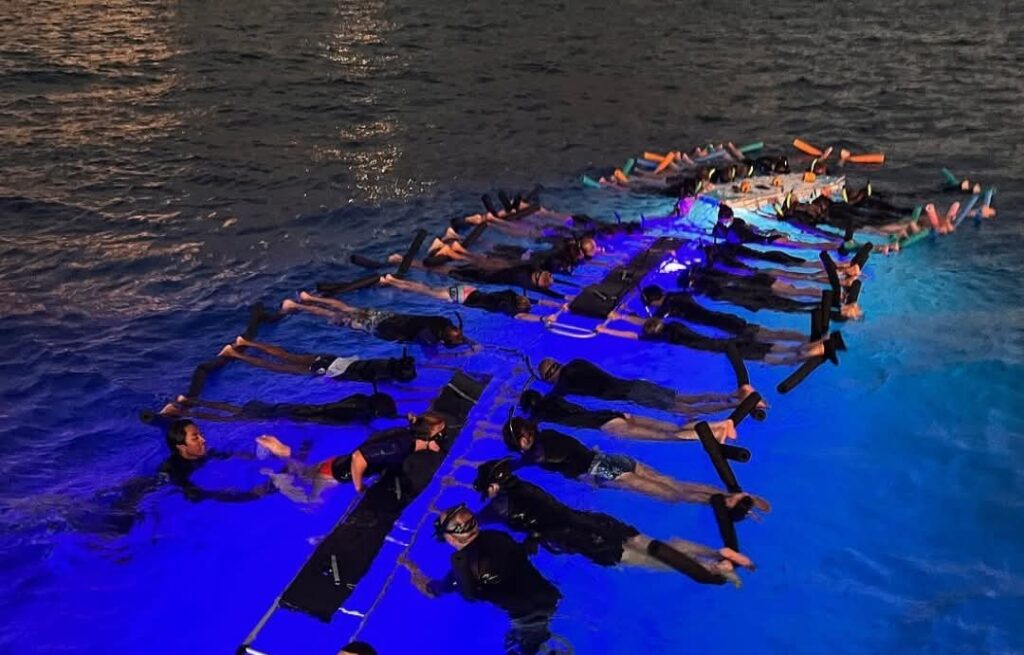 manta ray night snorkel experience